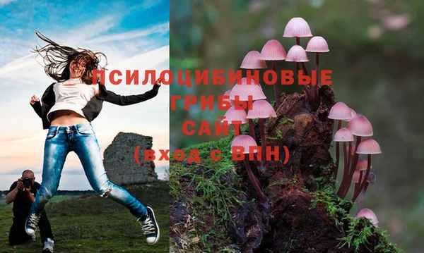 ешки Балабаново
