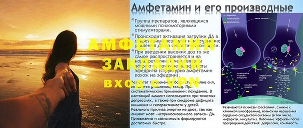 ГАЛЛЮЦИНОГЕННЫЕ ГРИБЫ Белокуриха