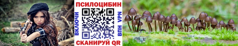 Псилоцибиновые грибы GOLDEN TEACHER Сухой Лог